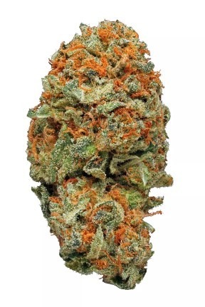 AK-47 strain